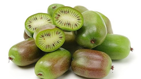 A file photo of Exotic Fruit Juice Sarunashi, Actinidia arguta (Hardy Kiwi)