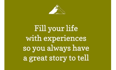 Life Quotes Images/Pictures: 4: Purposeful Balance in Life Quotes in English. Image of lettering depicting purposeful balanced life quote. Image credit: Rawpixel on Freepik. https://www.freepik.com/free-vector/travel-agency-template-social-media-post_16404309.htm#