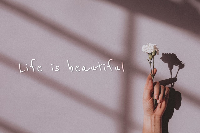 Beautiful life quotes images: 1. A free photo life is beautiful quote. Photo credit: Rawpixel on Freepik. https://www.freepik.com/free-photo/life-is-beautiful-quote_12189349.htm#