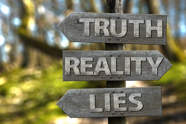 Reality of Life Quotes Images/Photos: 1. An image of Truth, Reality and Lies lettering in Reality of Life. Image by Gerd Altmann from Pixabay