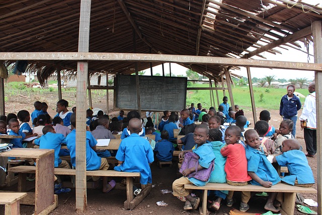 Primary School Education Photos: 3. A photo of a primary school classroom with thatched roof in Africa. Photo credit: Image by nforngwa from Pixabay