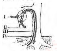 JAMB UTME Biology Past Questions 2010 Q 12 and 13 Images: 3