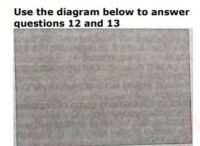 JAMB UTME Biology Past Questions 2014 Numbers 12 and 13. Images: 3