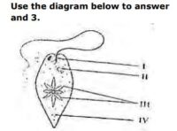 JAMB UTME Biology Past Questions 2014 Numbers 2 and 3. Images: 1