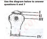 JAMB UTME Biology Past Questions 2014 Numbers 6 and 7. Images: 2