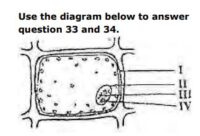 JAMB UTME Biology Past Questions 2015 Numbers 33 and 34. Images: 1