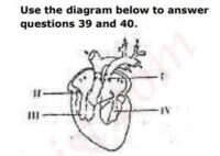 JAMB UTME Biology Past Questions 2015 Numbers 39 and 40. Images: 3