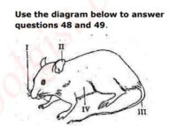 JAMB UTME Past Questions and Answers 2015 Numbers 48 and 49. Images: 7