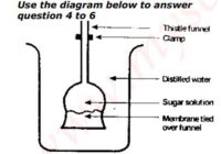 JAMB UTME Past Questions and Answers 2018 Numbers 4 and 6. Images: 1