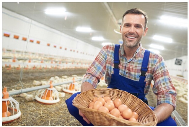 A smiling foreign seasonal worker with natural hair in a blue shirt inspects plants in a UK horticulture greenhouse, representing UK Seasonal Workers Visa Jobs 2024-2029.