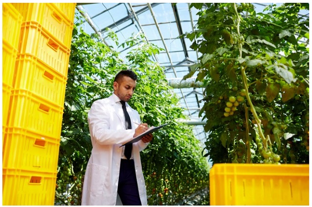 A sign displaying the name of a UK licensed scheme operator/sponsor for Seasonal Workers Visa Jobs in the agriculture sector for 2024-2029.