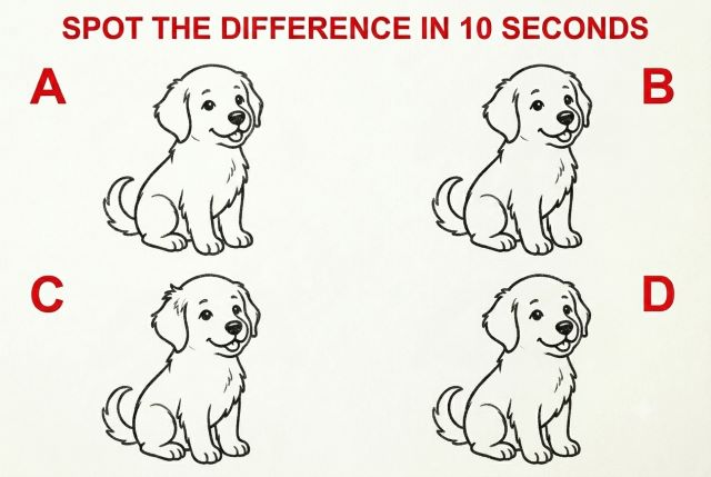 Easy Spot the Difference Challenge Puzzle – Puppy 1: Boast Your Cognitive Skills having Fun!✨ | Eduonwheels’ Simplified Daily Brain Teaser Game & Entertainment