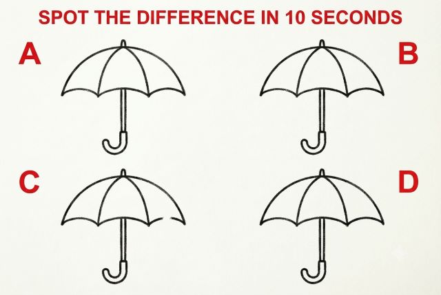 Spot the Difference Puzzle Challenge - Umbrella 1 | Brain Teaser | Eduonwheels.