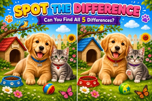 Colorful Spot the Difference puzzle featuring a cute golden puppy and adorable gray kitten in a sunny garden. Two nearly identical illustrations challenge children and families to find five hidden differences while improving observation, concentration, and visual discrimination skills.