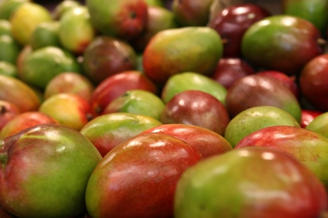 Image of many green and red coloured mangoes. Mangoes are also rich in vitamins, minerals, and antioxidants. Consuming mangoes as part of a healthy diet can provide a range of health benefits, from boosting the immune system to promoting heart and digestive health and protecting against chronic diseases.