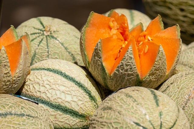 Image of melons with one of the topmost cut into sectors revealing fresh internal orange juicy edible part. Melons are a great source of vitamins, minerals, and antioxidants, and they are low in calories for weight loss. They aid hydration, boost immunity, and promote skin and eye health.Photo by Alexandra Smielova on Unsplash