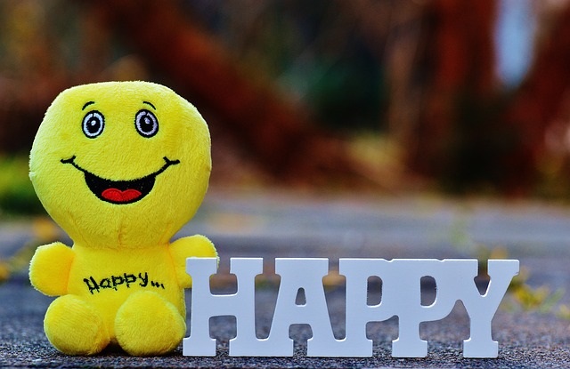 Image of a happy yellow toy