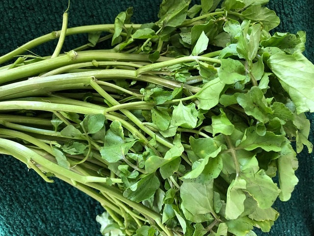 Image of green leafy watercress