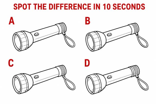 Spot the difference Puzzle 1 – Flashlight 1