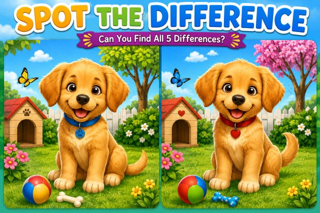 Spot the difference Puzzle – Puppy 2